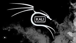 Kali Linux: The Ultimate, Mobile‑Ready Security & Development OS